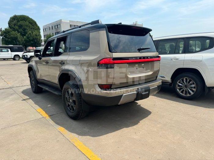 微信图片_20251130171916_433_164